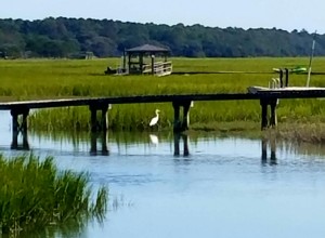 edisto-lee