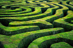 hedge_maze